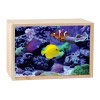 Lightbox AQUARIUM 30x20 cm