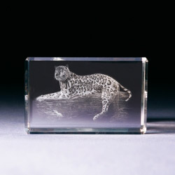 Glasblock - Leopard