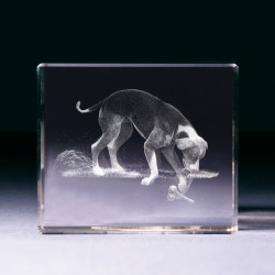 Glasblock - Hund grabend