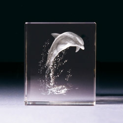 Glasblock - Delphin