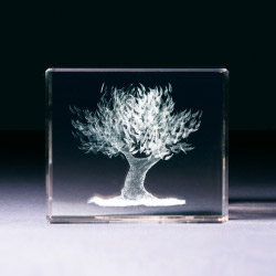 Glasblock - Olivenbaum