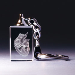 Schlüsselanhänger - Herz anatomisch
