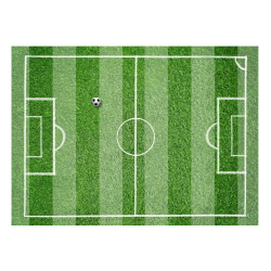 Cake Top Tortenbild 20x27,7 cm FUSSBALL