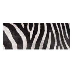 Vinyl Teppich MATTEO 70x180 cm Zebra