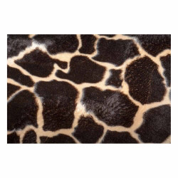 Vinyl Teppich MATTEO 40x60 cm Leopard