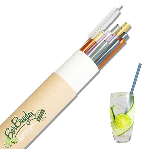 Geschenk Set 10 x Glastrinkhalme bunt + Bürste