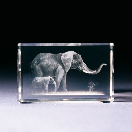 Glasblock - Elefant mit Baby
