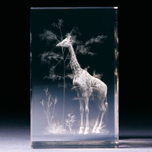 Glasblock - Giraffe