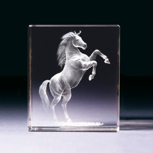 Glasblock - Mustang