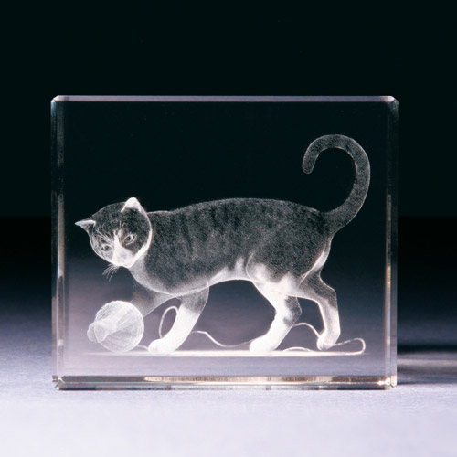 Glasblock - Katze mit Wollknäuel