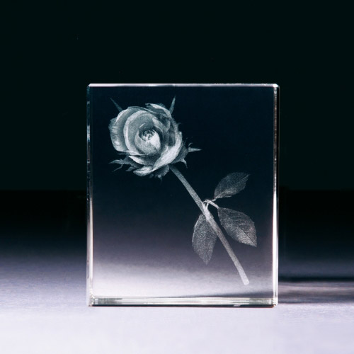 Glasblock - Rose