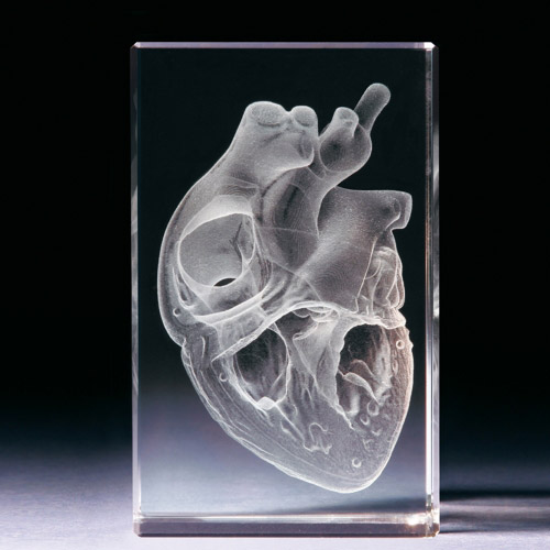 Glasblock - Herz anatomisch