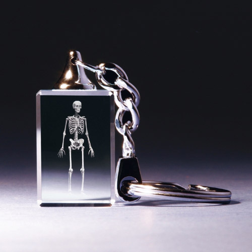 Schlüsselanhänger - Skelett anatomisch