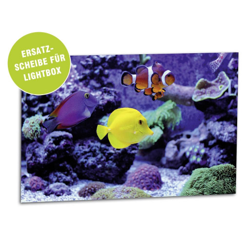 Acrylglasscheibe für Lightbox AQUARIUM 30x20 cm