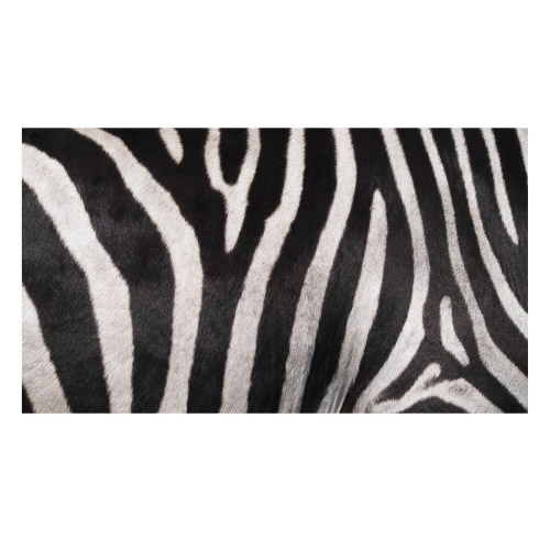 Vinyl Teppich MATTEO 90x160 cm Zebra