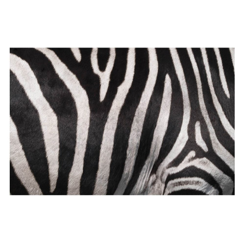 Vinyl Teppich MATTEO 118x180 cm Zebra