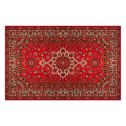Vinyl Teppich MATTEO 90x135 cm Perser