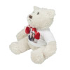 Stofftier - weißer Teddy mit Foto