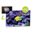 Lightbox AQUARIUM 30x20 cm