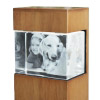 3D Glasfoto mit Leuchtstele Holz M quer