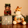 Stofftier - Giraffe mit Foto
