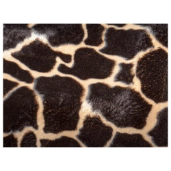 contento Tischset Vinyl Leopard