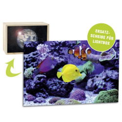 contento Acrylglasscheibe für Lightbox AQUARIUM 30x20 cm