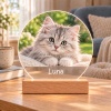 Personalisierte Acryl-Lampe mit LED-Holzsockel – inlumino