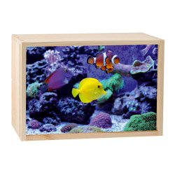 contento Lightbox AQUARIUM 30x20 cm