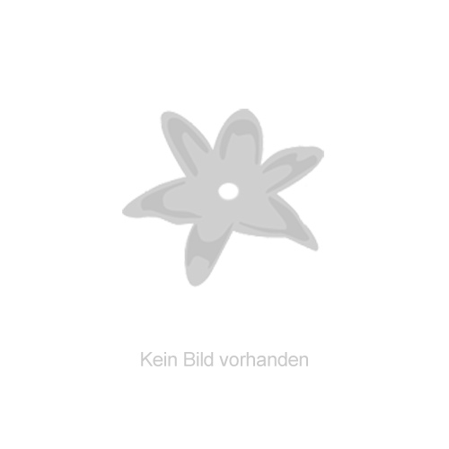 Longdrinkglas 400ml 2er Set